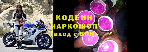 хмурый Арсеньев