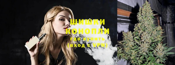 спайс Покачи