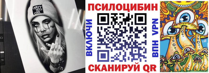 Псилоцибиновые грибы Psilocybine cubensis  цена наркотик  Чернушка 
